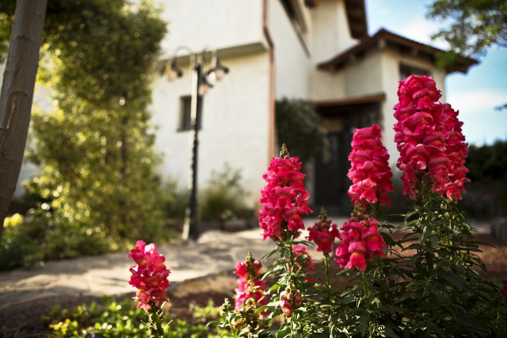 Villa Golan Katzrin Exterior photo