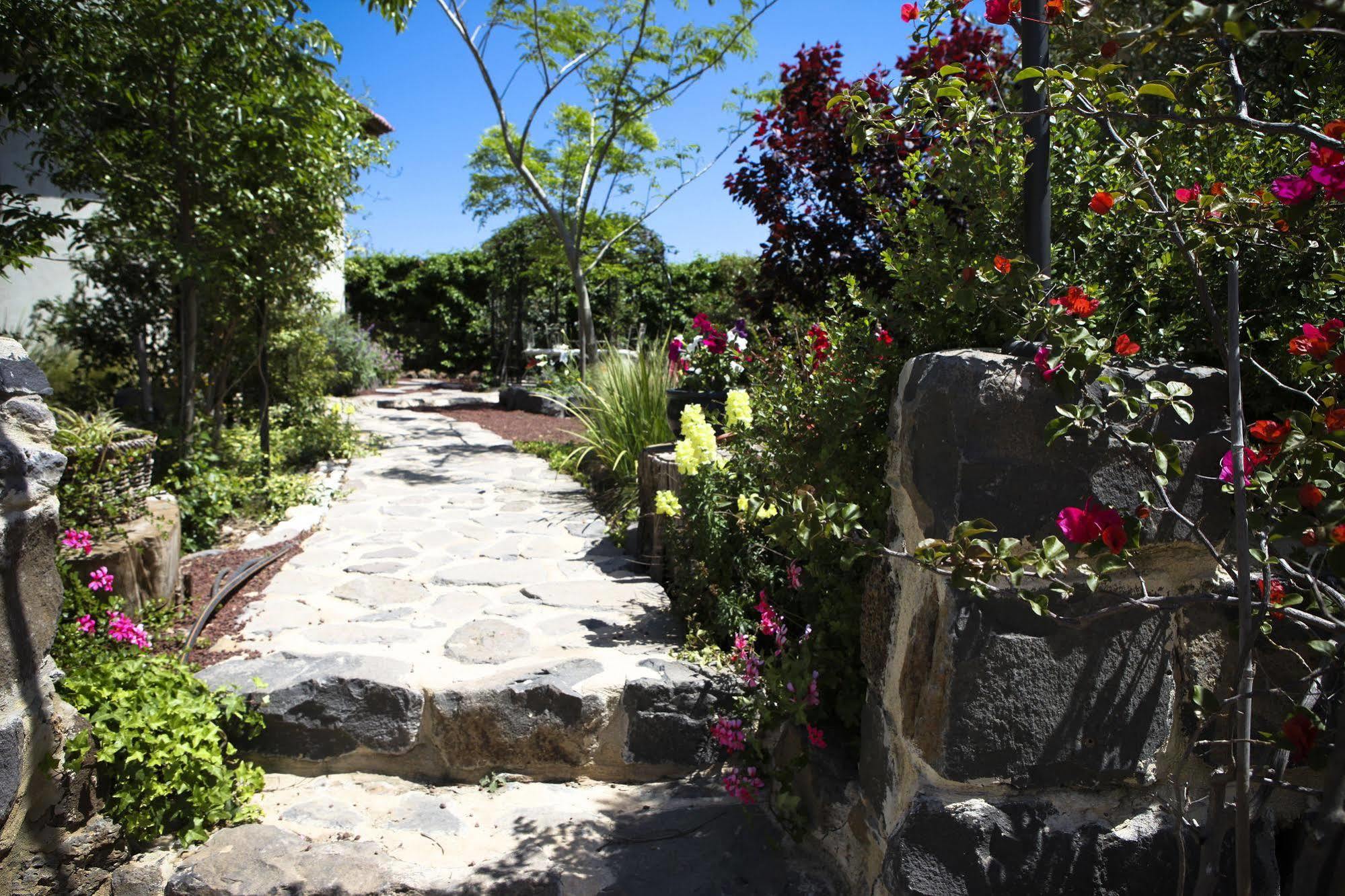 Villa Golan Katzrin Exterior photo